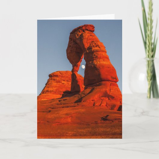 Ontspruit de Maan Kaart (Voorkant)