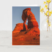 Ontspruit de Maan Kaart (Gele Bloem)