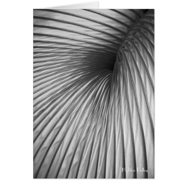 Onttrekkings-extractieteknotelet / -kaart (Voorkant)