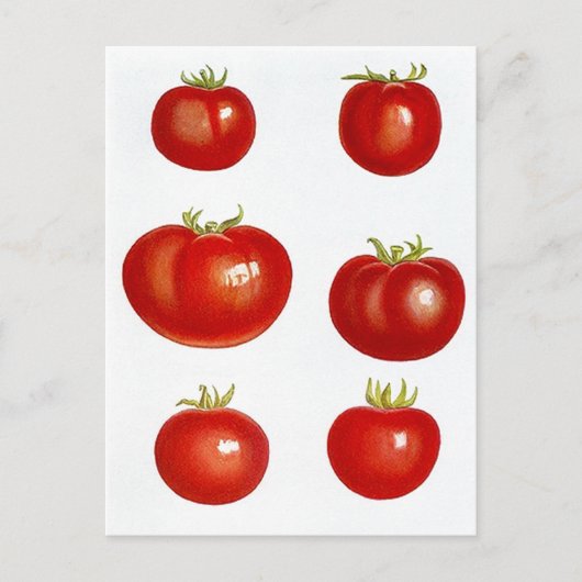 Ontvang het ontwerp van het Briefkaart van de Kaar (Voorkant)