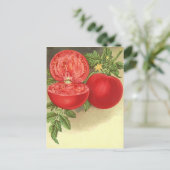 Ontvang het ontwerp van het Briefkaart van de Kaar (Staand voorkant)