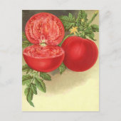 Ontvang het ontwerp van het Briefkaart van de Kaar (Voorkant)