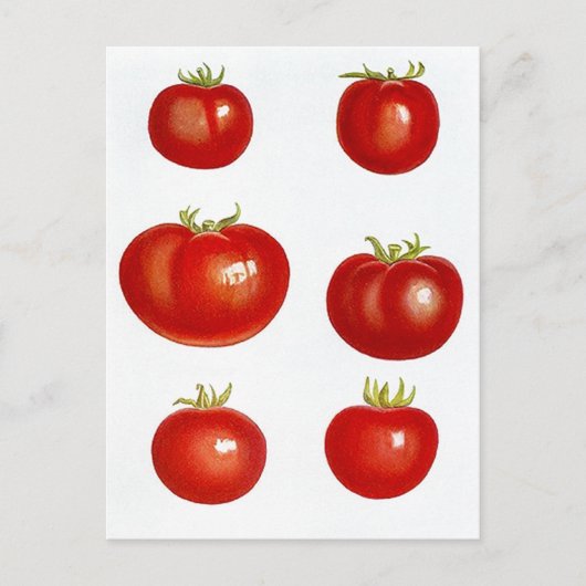 Ontvang het ontwerp van het Briefkaart van de Kaar (Voorkant)