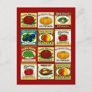 Ontvang het ontwerp van het Briefkaart van de Kaar