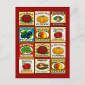 Ontvang het ontwerp van het Briefkaart van de Kaar (Voorkant)