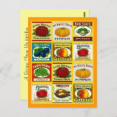 Ontvang het ontwerp van het Briefkaart van de Kaar (Voorkant / Achterkant)