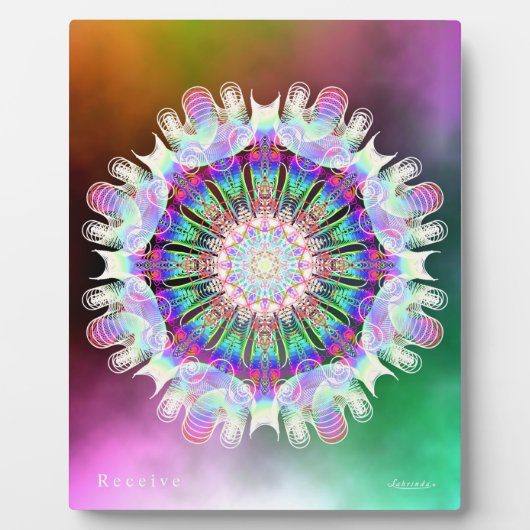 Ontvangen Fotoplaat (Voorkant)