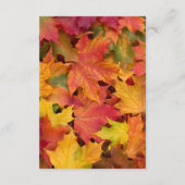 Ontvangingsbehuizing voor alle lekkende bladeren v informatiekaartje (Achterkant)