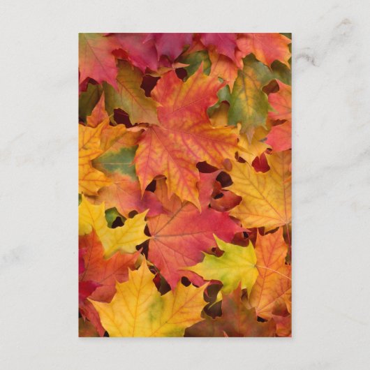 Ontvangingsbehuizing voor alle lekkende bladeren v informatiekaartje (Achterkant)