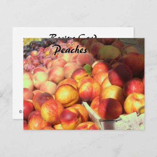 Ontvangkaart - Perziken Briefkaart (Voorkant / Achterkant)