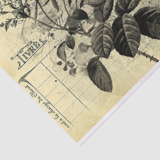  ontvangst tissuepapier (Detail)