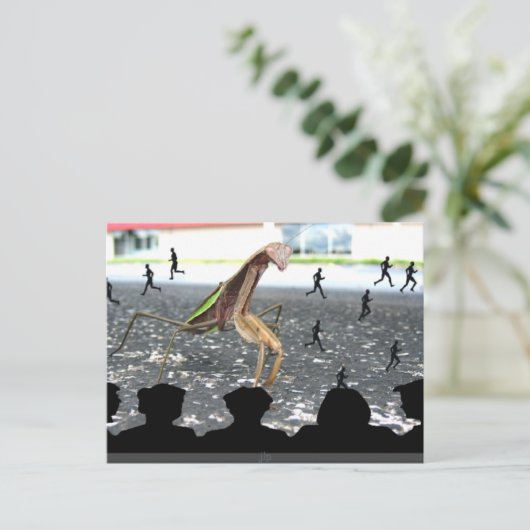 Ontvangsten van de Praying Mantis Briefkaart (Staand voorkant)