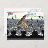 Ontvangsten van de Praying Mantis Briefkaart (Voorkant / Achterkant)