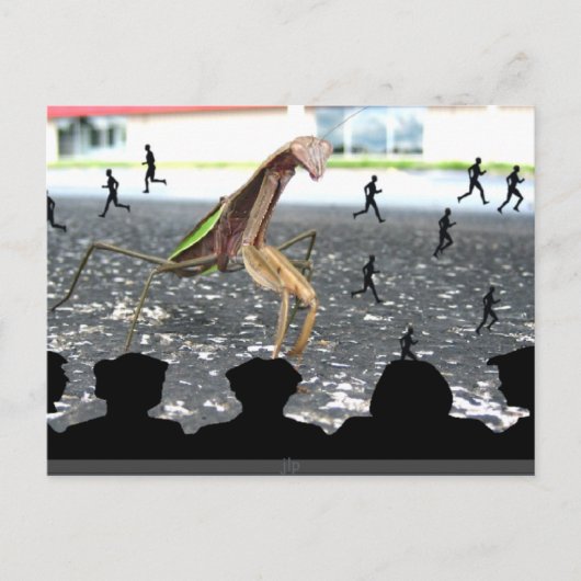 Ontvangsten van de Praying Mantis Briefkaart (Voorkant)