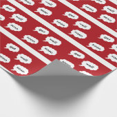 ontvangt snel papier van DAL (Hoek)