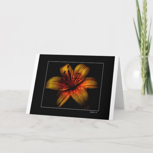 Ontvlammende Passie-ventilator Kaart (Voorkant)