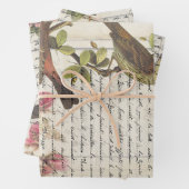  ontvlechting botanische epheera inpakpapier vel (In situ)