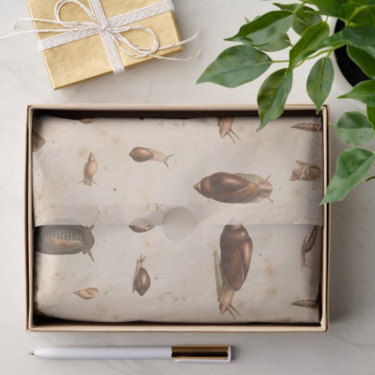  ontvlechting en slak tissuepapier (Geschenk)