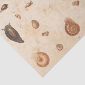  ontvlechting en slak tissuepapier (Detail)