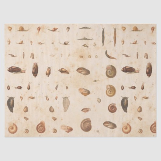  ontvlechting en slak tissuepapier (Voorkant)