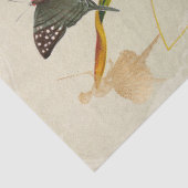 Ontvlechting van luchtvaten tissuepapier (Detail)