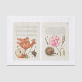 Ontvlechting van tuinbouwtuinen tissuepapier