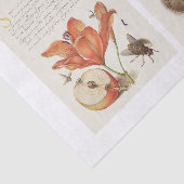 Ontvlechting van tuinbouwtuinen tissuepapier (Detail)