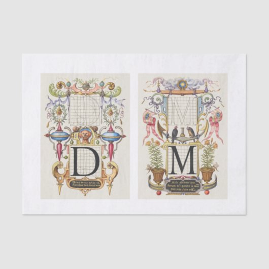 Ontvlechting van tuinbouwtuinen tissuepapier (Voorkant)