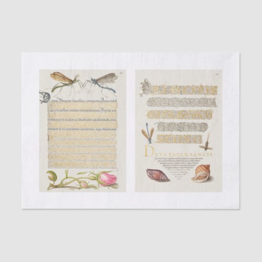 Ontvlechting van tuinbouwtuinen tissuepapier (Voorkant)