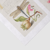 Ontvlechting van tuinbouwtuinen tissuepapier (Detail)