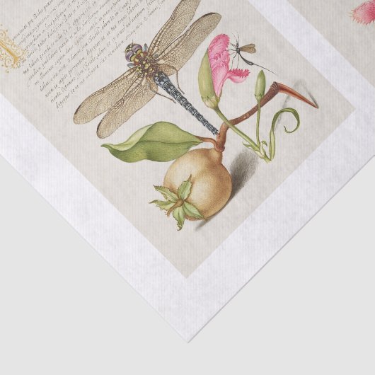 Ontvlechting van tuinbouwtuinen tissuepapier (Detail)