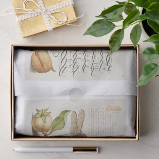 Ontvlechting van tuinbouwtuinen tissuepapier (Geschenk)