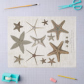  ontvlechting van wetenschappelijke starvissen tissuepapier (Craft)