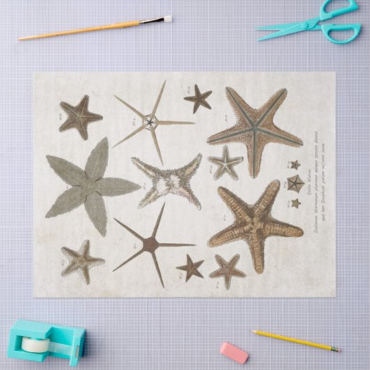  ontvlechting van wetenschappelijke starvissen tissuepapier (Craft)