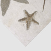  ontvlechting van wetenschappelijke starvissen tissuepapier (Detail)