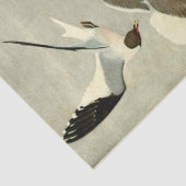  ontvlechting zeevogel tissuepapier (Detail)