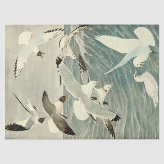  ontvlechting zeevogel tissuepapier (Voorkant)