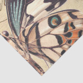 Ontvlechtingspapier voor vlinderephemera tissuepapier (Detail)