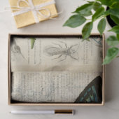 Ontvlechtingspapier voor vlinderephemera tissuepapier (Geschenk)