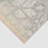 Ontvlechtingspapier voor vlinderephemera tissuepapier (Detail)