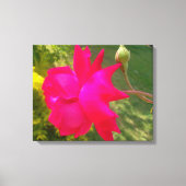 Ontvouwbare schoonheid: de rode roos en zijn knop canvas afdruk (Voorkant)