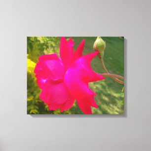 Ontvouwbare schoonheid: de rode roos en zijn knop canvas afdruk