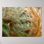 Ontvouwen Poster (Voorkant)