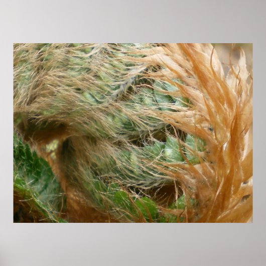 Ontvouwen Poster (Voorkant)