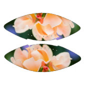 ontvouwen verlangen american football (Panelen)