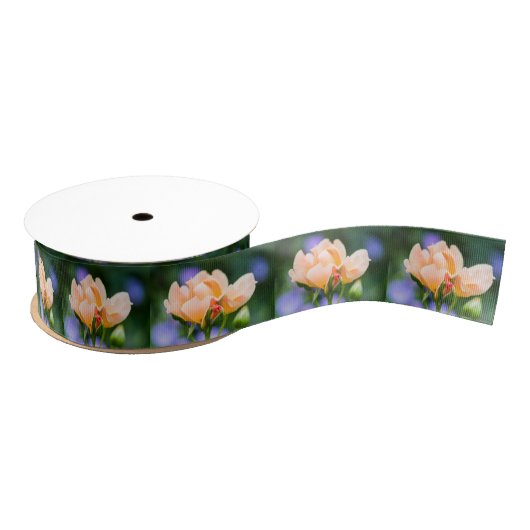 ontvouwen verlangen grosgrain lint (Spoel)