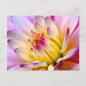 Ontvouwingsventilator Briefkaart (Voorkant)