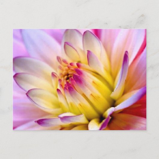 Ontvouwingsventilator Briefkaart (Voorkant)