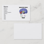 Ontwaakte hersenen aan de binnenkant (hersenanatom visitekaartje (Voorkant / Achterkant)