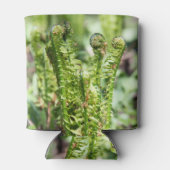 Ontwakende jonge varen in de tuin blikjeskoeler (Achterkant)